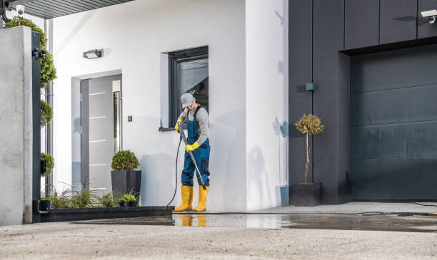 Best Sidewalk and Walkway Cleaning  in Desloge, MO